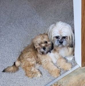 Meet your Posher, Marian